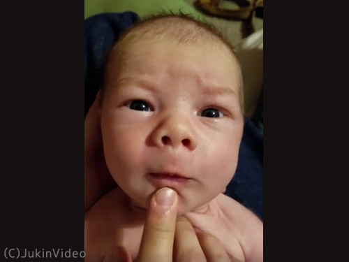 赤ちゃん、子供 笑 」のアイデア 120 件爆笑画像, 面白い写真, 笑いが止まらない