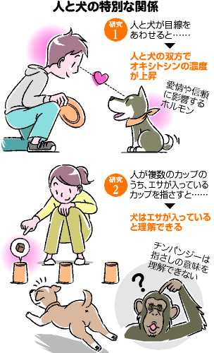 675 犬の親子 High Res Illustrations - Getty Images動物の親子, 子犬, Dog family
