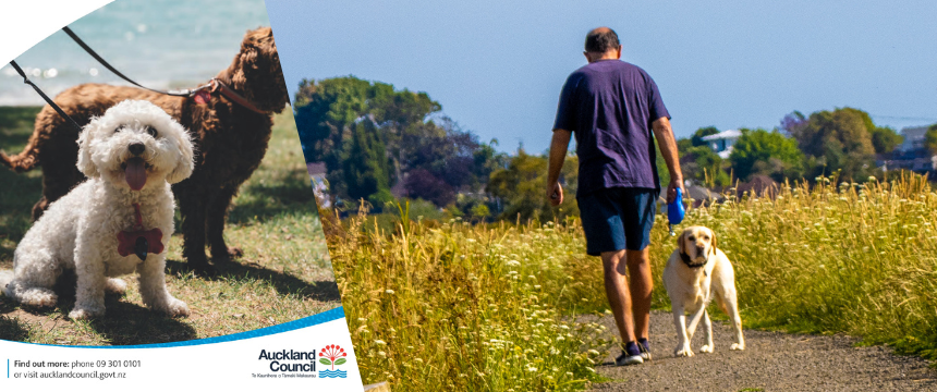 桃太郎の豆知識 なぜ猿・キジ・犬は鬼が退治できる⁉Manga de Japan