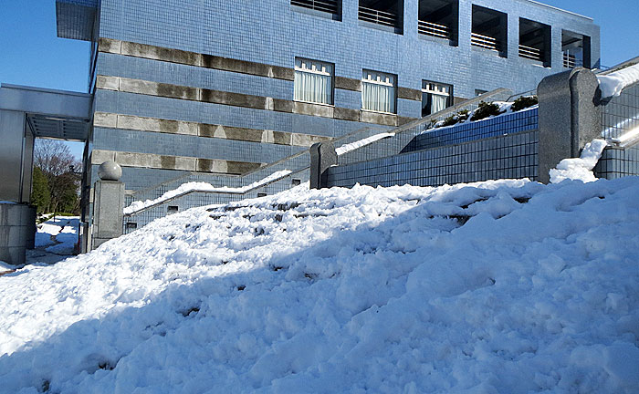 【大雪警報】東京・多摩西部全域、八王子市（5日午後4時27分）