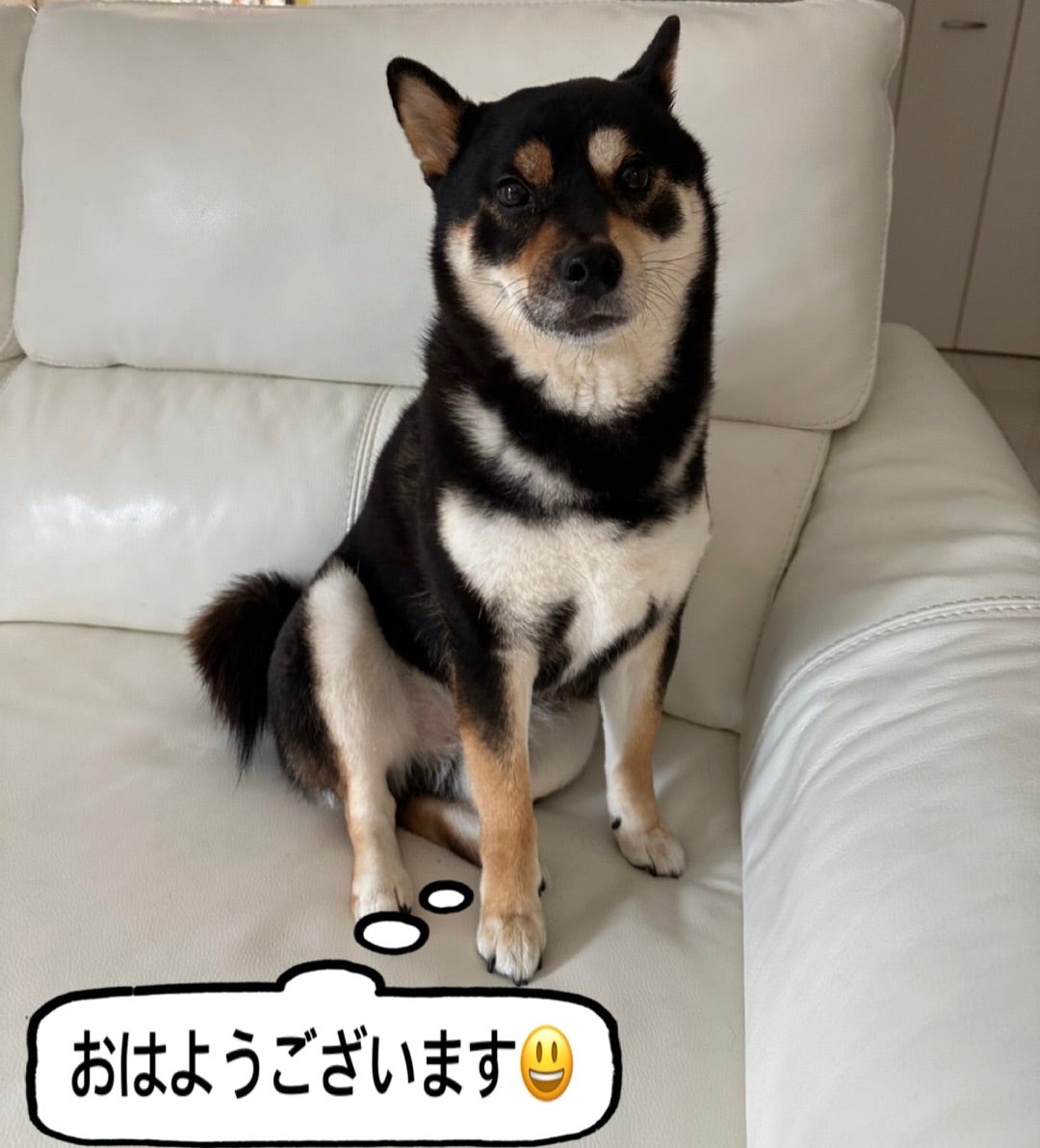 CT9500 4K 50FPS アクションカメラ 4K 20MP Wi-Fi コスパ最強！4Kアクションカメラ『CT9500』レビュ