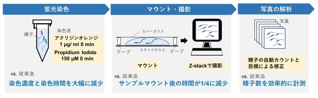 まさか男性不妊？ 朝晩で精子力が異なることも：日経ビジネス電子版