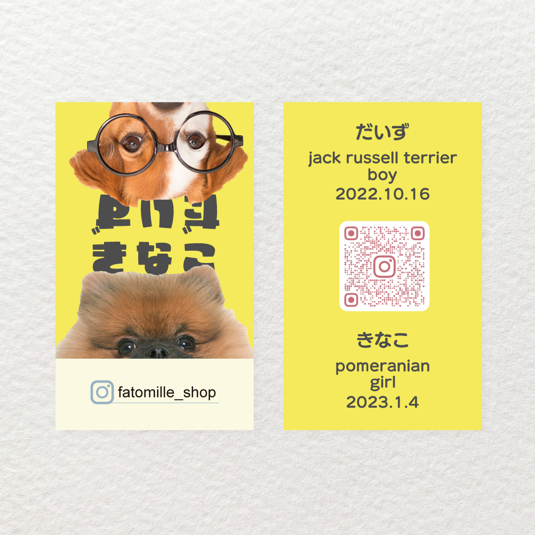 ペット名刺_長方形タイプ_春の縁側デザイン 横型多頭飼い特化版1個50枚 _rec_w012-dペット名刺のもふり堂