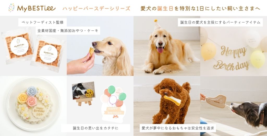 祝1歳 愛犬の誕生日パーティー！はじめてのケーキと手作りごはんに大興奮！プレゼントは何かな？ ペット