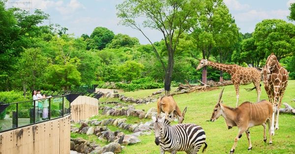 法人研修「毎日行きたくなる保育園」│さいたま市緑区 保育園 大きなぞうさん浦和美園・浦和中尾 ぞうさんのいえ 保育ルーム 保育 認可
