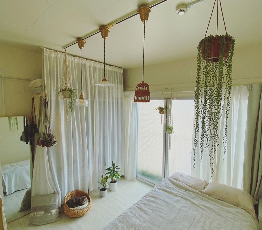 子供部屋」「子供の勉強机」におすすめの「観葉植物１７選」～風水で勉強運と成長運上昇、知的好奇心から思考力アップまで！～GOLD HOME～金の家