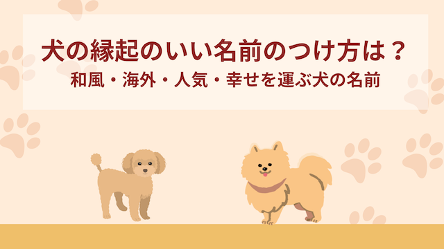 ペット人気名前ランキングハワイ語TikTok