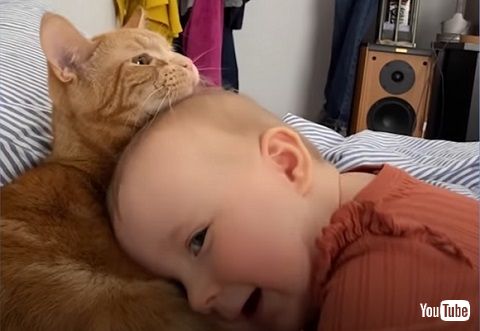 人間の赤ちゃんと子猫が仲良く一緒に暮らすために子猫の育て方ねこと、もっと。-ユニ・チャーム