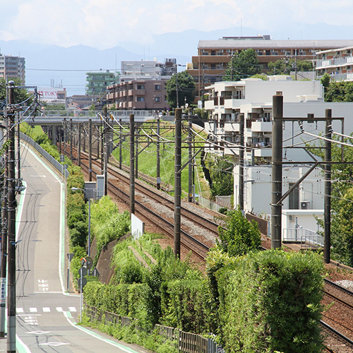 2024年12月1日より神奈川県大和市南林間にて | ブログ