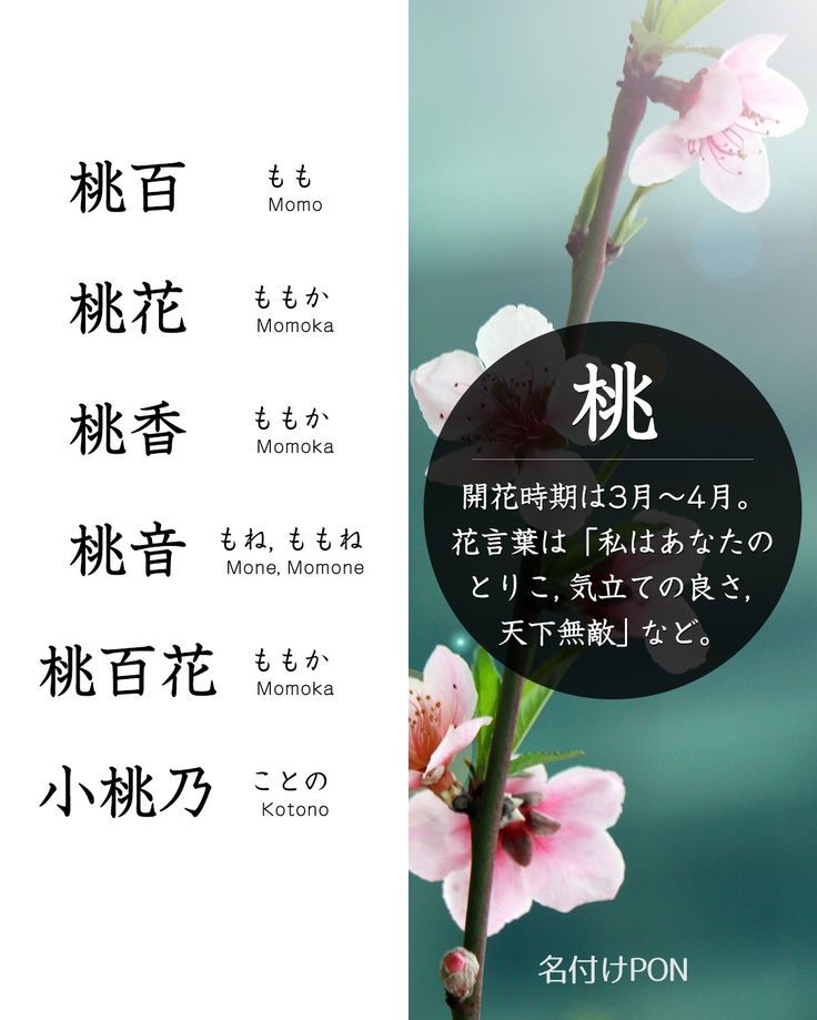 春生まれ - 名付けポン