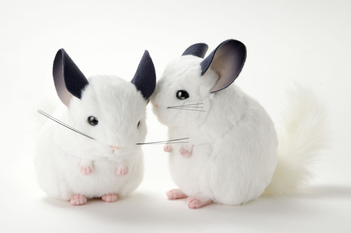 今日も行く吉徳のぬいぐるみ吉徳キャンディキャンディちゃんぬいぐるみうさぎのぬいぐるみ🧸レトロぬいぐるみレトロ ぬいぐるみこれくしょんレトロぬいぐるみこれくしょんminiレトロぬいぐるみこれくしょんミニplushplushesplushtoysぬい