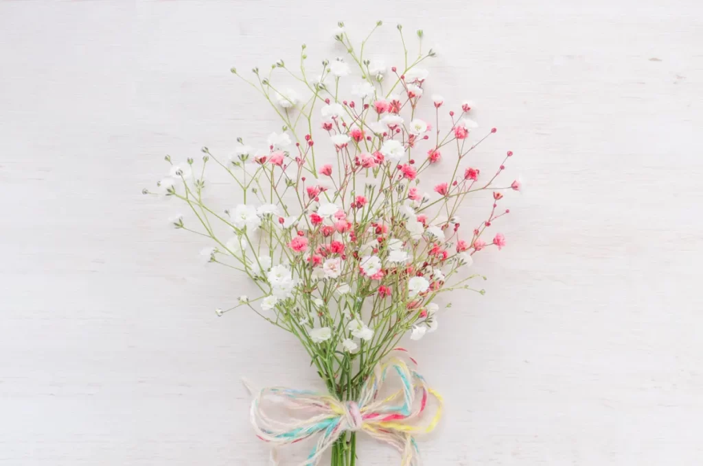 友情・友達・絆」の花言葉の花の種類◇友人へのプレゼントにおすすめ - 花だより