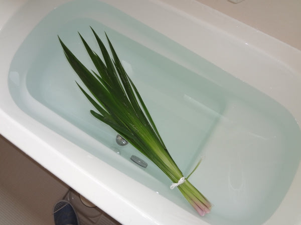 菖蒲湯 5月5日子供の日しょうぶ湯 とは端午の節旬には菖蒲を浮かべたお風呂に入り、邪気を払い無病息災を祈ります。腰痛、神経痛、冷え性、血行促進に効果あり。 さらに、頭に巻くと頭が良くなる、お腹に巻くと健康になるといわれています