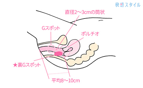 ウォシュレットのビデを使ってオナニー？！ | 【きもイク】気持ちよくイクカラダ