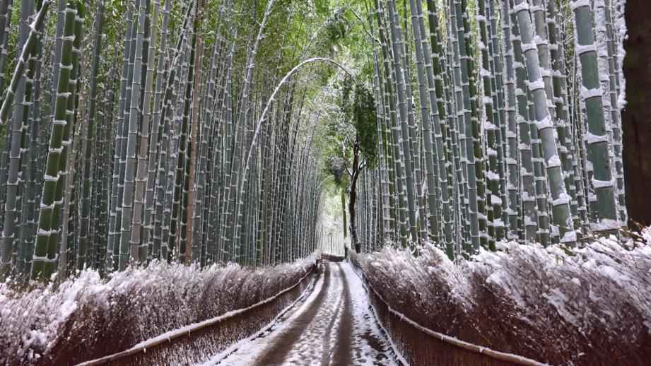 冬にしか見られない！思わず息をのむ「雪景色」が広がる絶景スポット3選