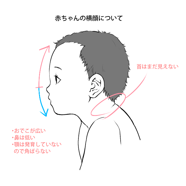 絵を描く小学生の男の子の横顔 10904000594 の写真・イラスト素材アマナイメージズ