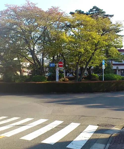 都立桜ヶ丘公園 ゆうひの丘の夜景（東京都多摩市）