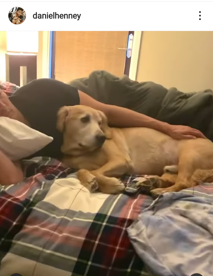 春のワルツ」ふるふるハウスDiary - 楽天ブログ