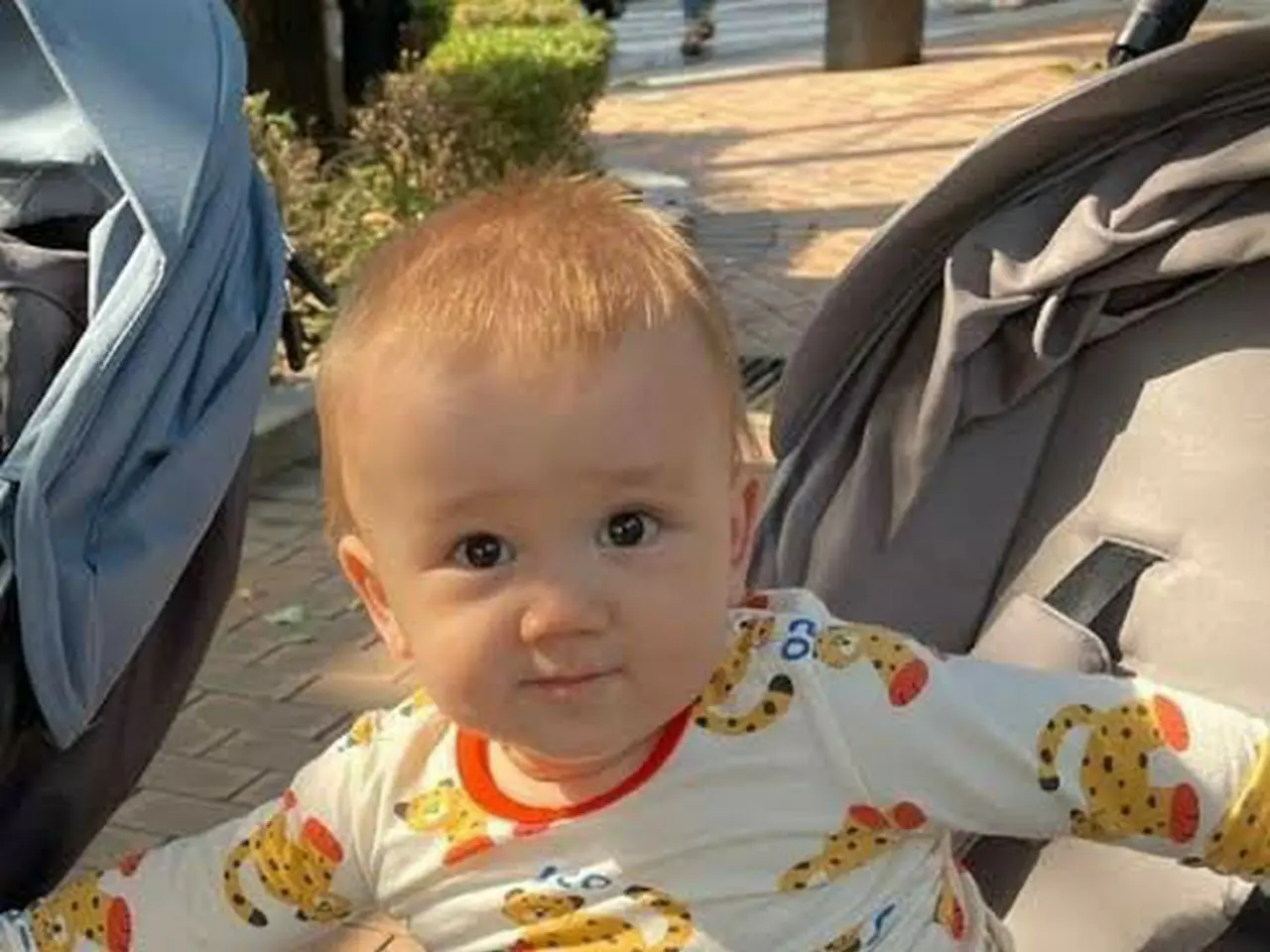 ロウンくん子供TikTok