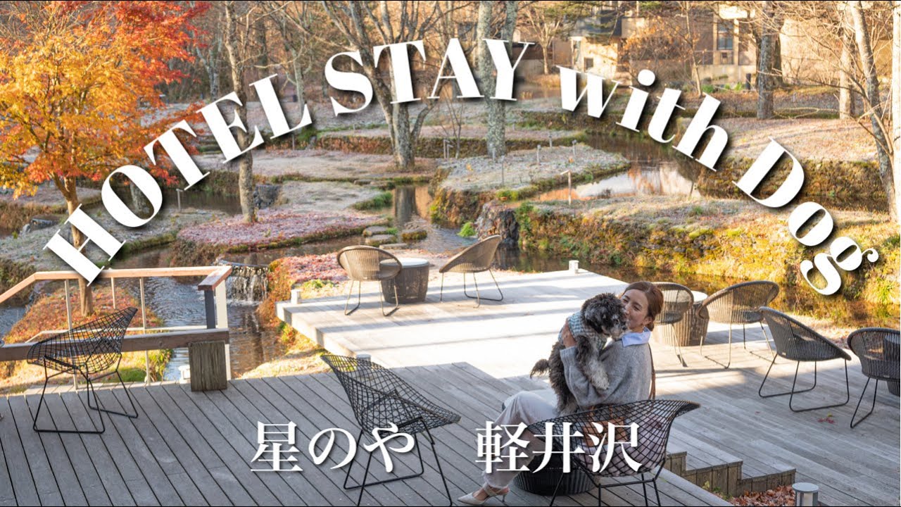 星野リゾート ペット旅行特集！ペットと泊まれる宿7施設をお届け - 休日いぬ部