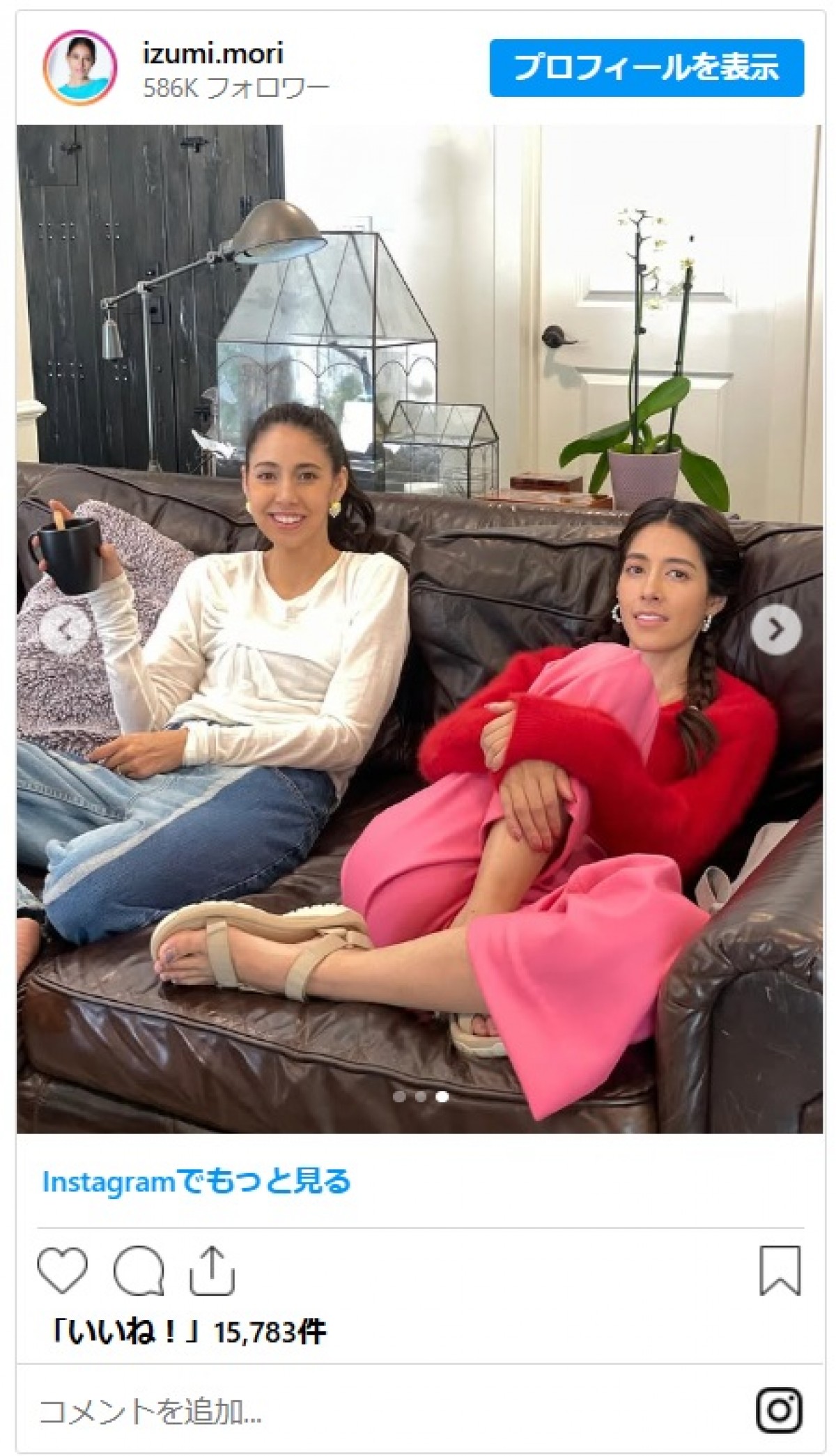 すてきな写真」「so a beautiful」 森泉、美人母・パメラとのドレスアップした2ショットに反響ねとらぼ