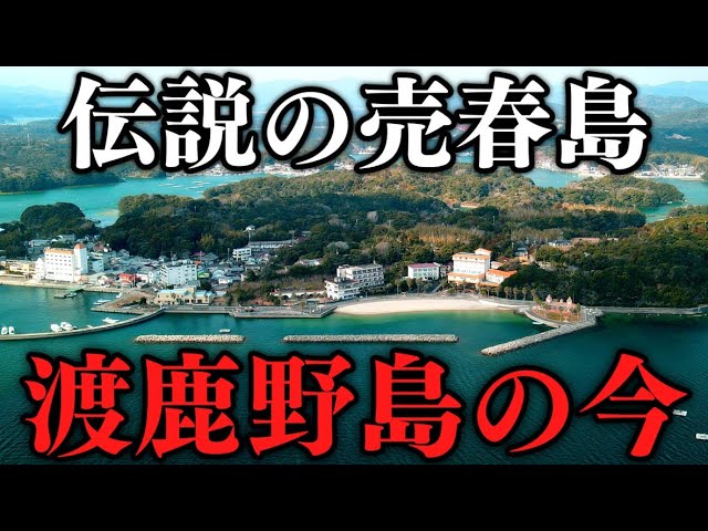 三重県｢売春島｣は､今どうなっているのか 的矢湾に位置する離島｢渡鹿野島｣の実態 | ニューズウィーク日本版 |