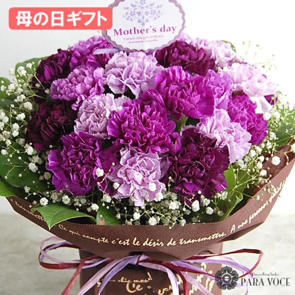 母の日 カーネーション ピンクBLOOM&STRIPES ブルームアンドストライプスのプレゼント・ギフト通販TANP タンプ