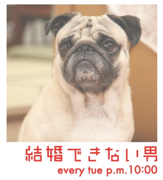 まだ結婚できない男 2代目パグ犬の名前は田中太郎！初代ケンちゃんの現在は？NAGG BLOG