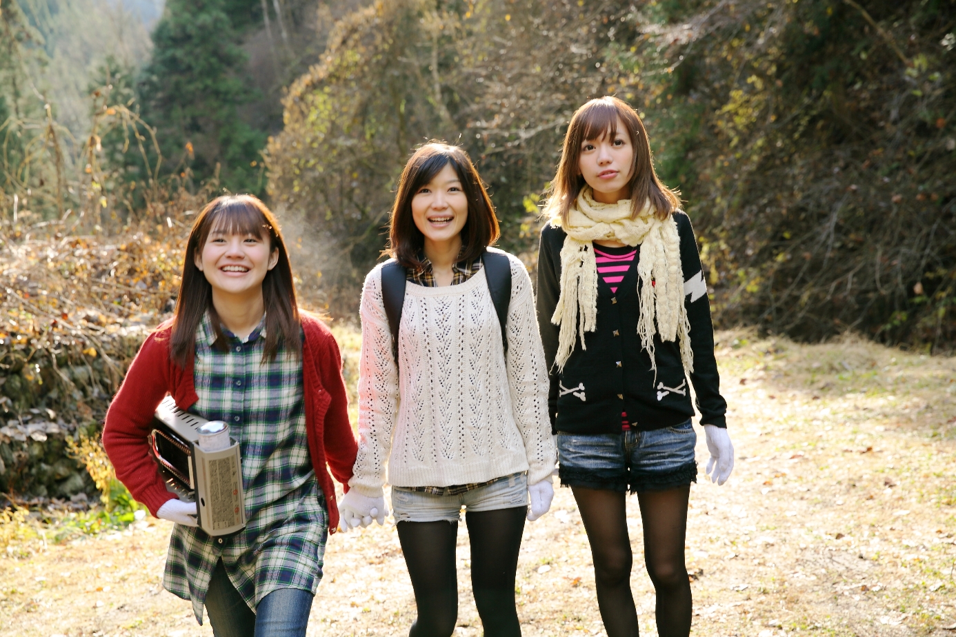 こたつと、みかんと、ニャー。 : 作品情報・キャスト・あらすじ - 映画.com