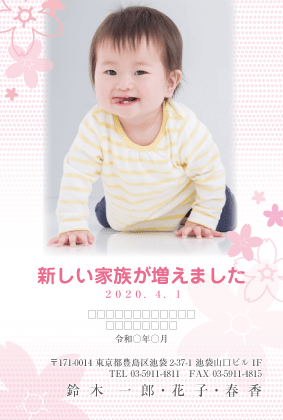 TL-59出産報告はがき挨拶状はがき印刷から投函まで「まかせて楽チン」ウェブポ