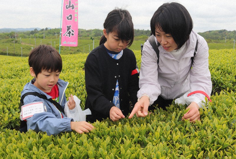 子どもがお茶を淹れる楽しさ、美味しさを育む“お茶育セット” 静岡県立大学監修・丸福製茶 「みんなでちゃちゃちゃ」1月10日発売NEWSCAST