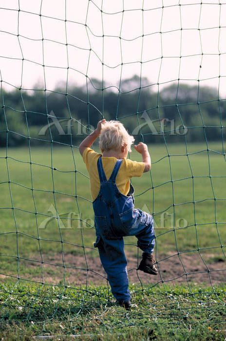 海を見る後ろ姿の子ども 10264003711 の写真・イラスト素材アマナイメージズ