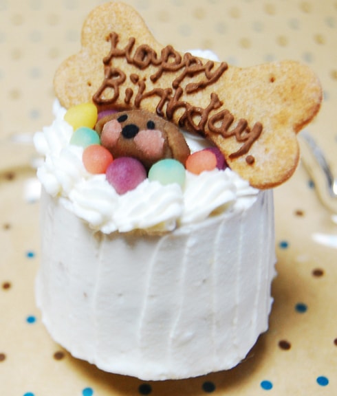 犬用ケーキ犬用アイシングクッキー販売店 macaron macaron