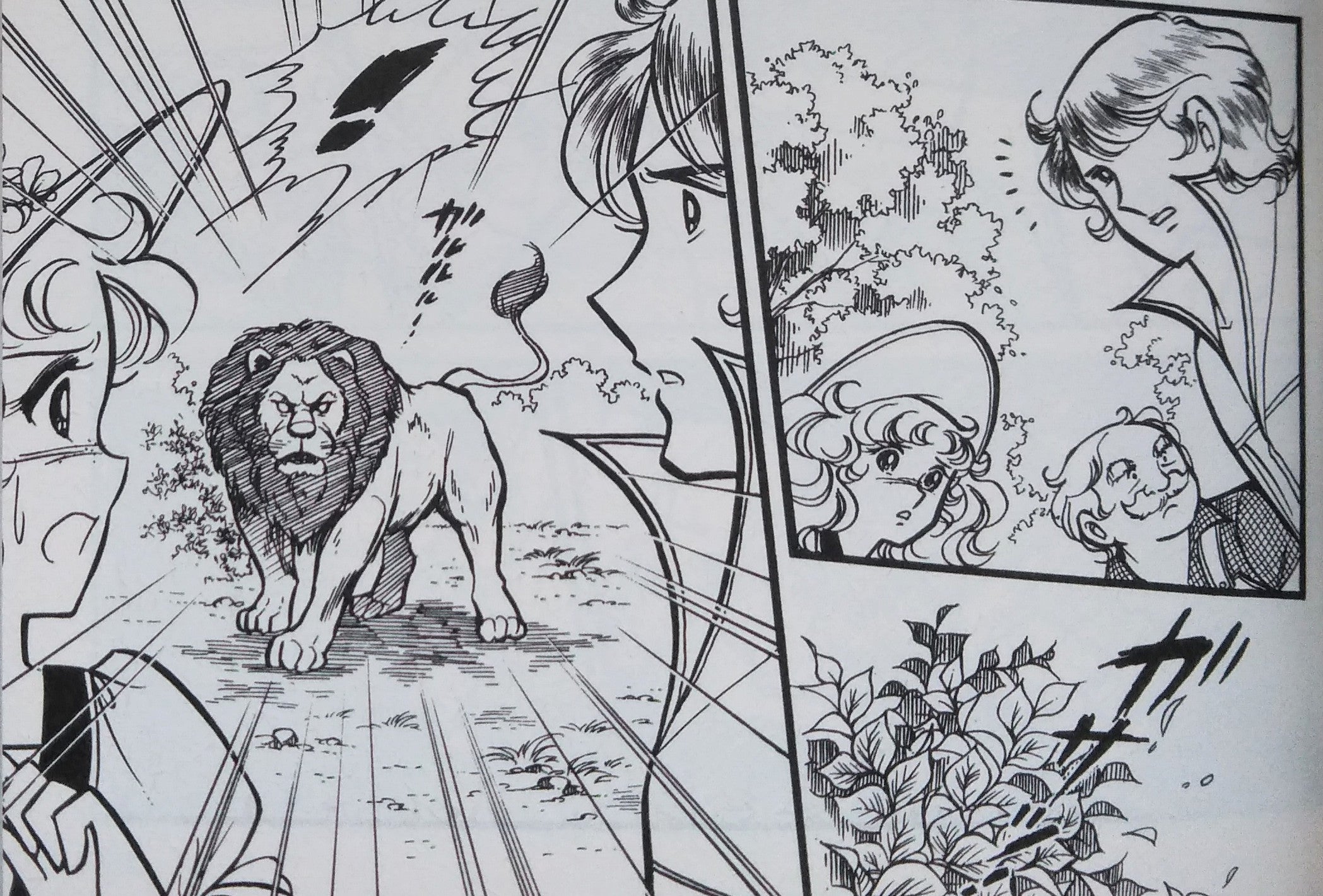 衝撃！テリィとの別れは最初から決まっていた！ - よかったら読んでいってください