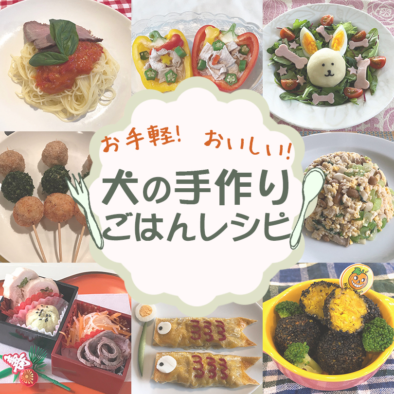 年始の献立 簡単なのに本格的な愛犬用のお雑煮♪食べ慣れた食材をお正月仕様にアップグレードさせてみた！ワンクォール