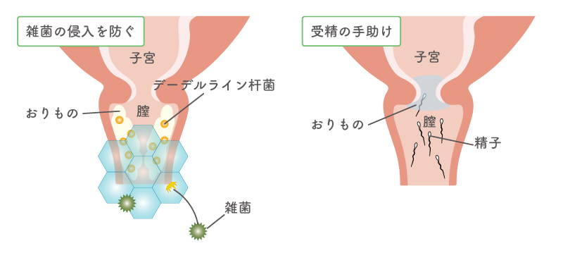 精子が黄色いのは病気なの？ ｜ 男性不妊・メンズヘルス診療