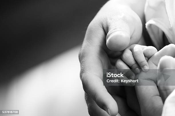 お母さんの指を握る赤ちゃんの手 11038000247 の写真・イラスト素材アマナイメージズ