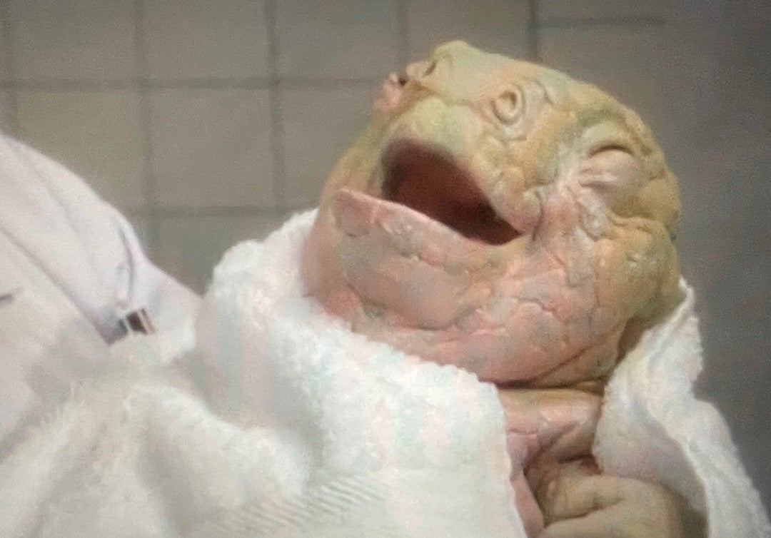 ドラマ『イグアナの娘』 １～５話- メランコリア