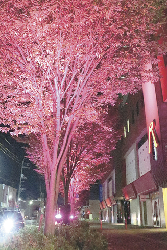 愛知県名古屋市中区の居抜き物件 新栄町駅徒歩3分！1階約18.01坪の洋菓子店居抜き物件です。造作代金200万円希望（応相談）。 | 