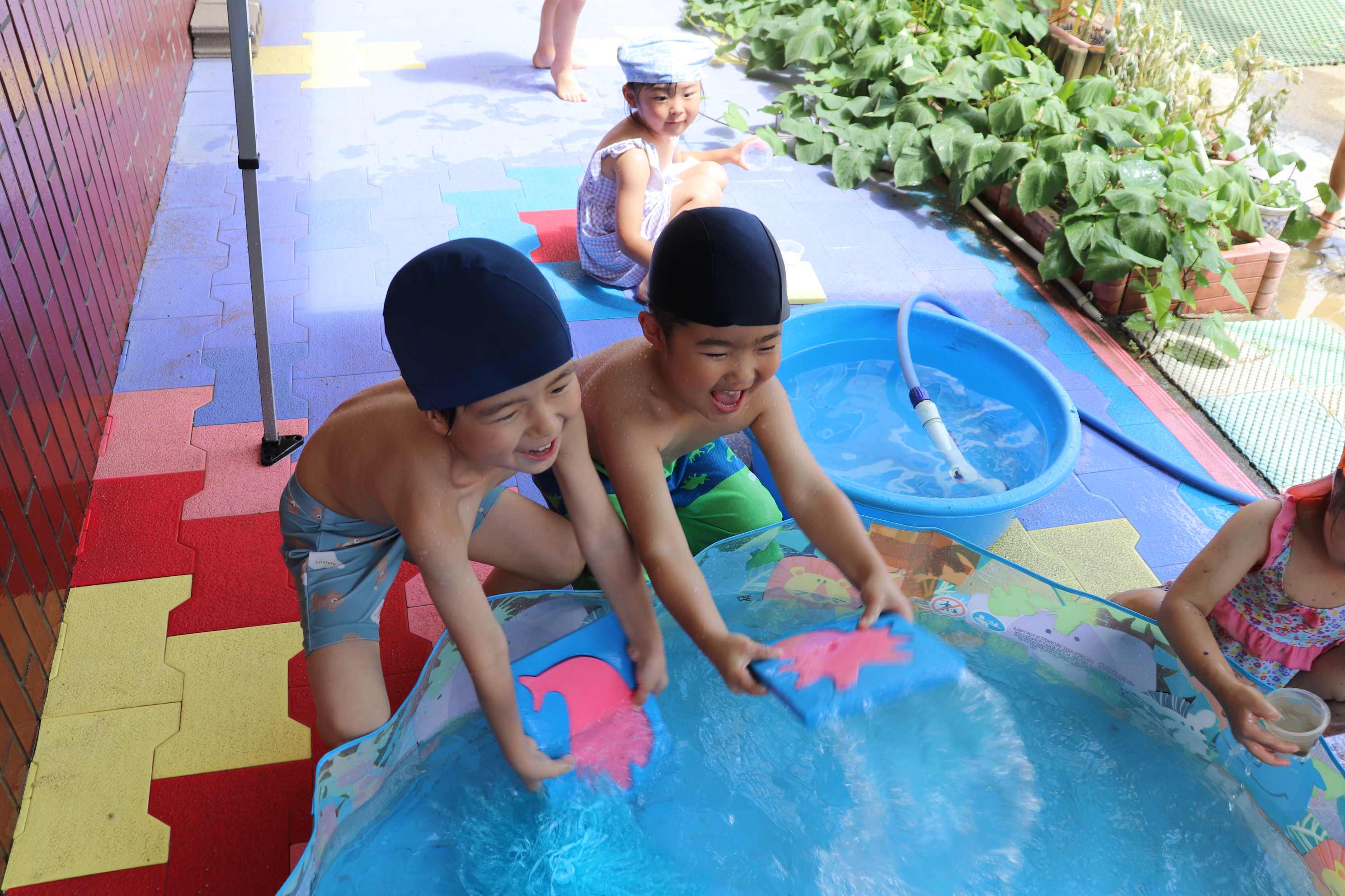 ワニ泳ぎ プールの写真素材 - PIXTA