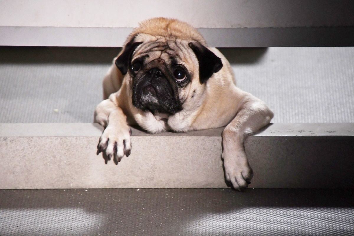 結婚できない男☆第８回: せるふぉん☆こだわりの日記