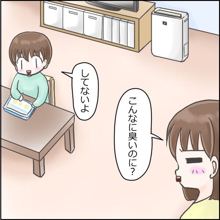 カビ消臭なっとう君押入れ用 3点セット -