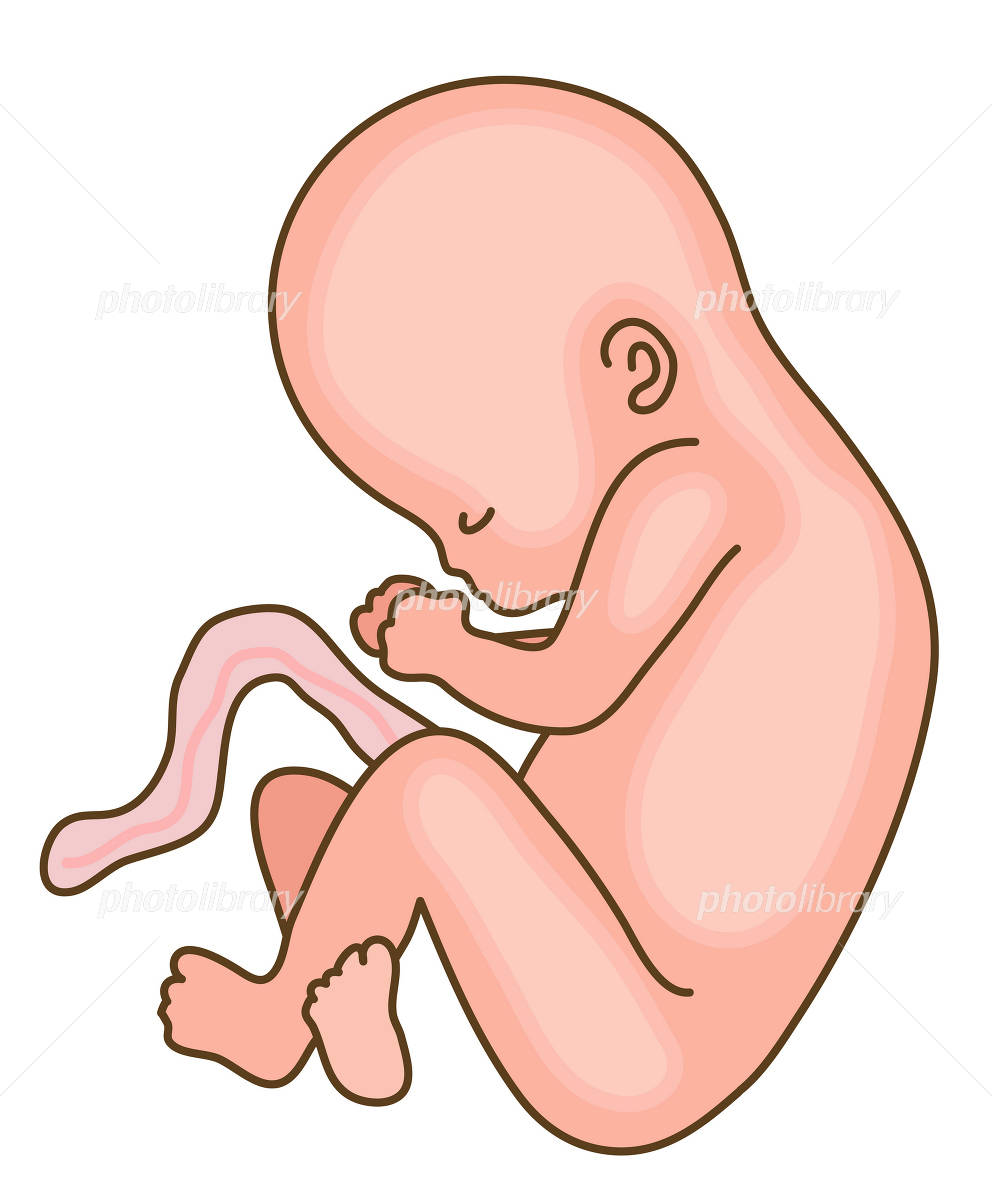 写真を元に赤ちゃんの肖像画、似顔絵を描きます！SKIMA スキマ