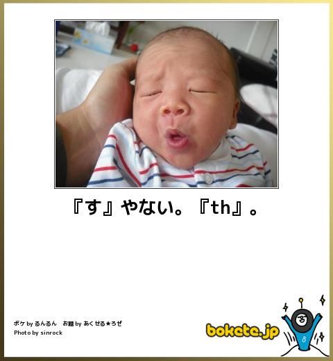 2ページ面白い赤ちゃんアルパカのイラスト 画像 - Freepikで無料ダウンロード