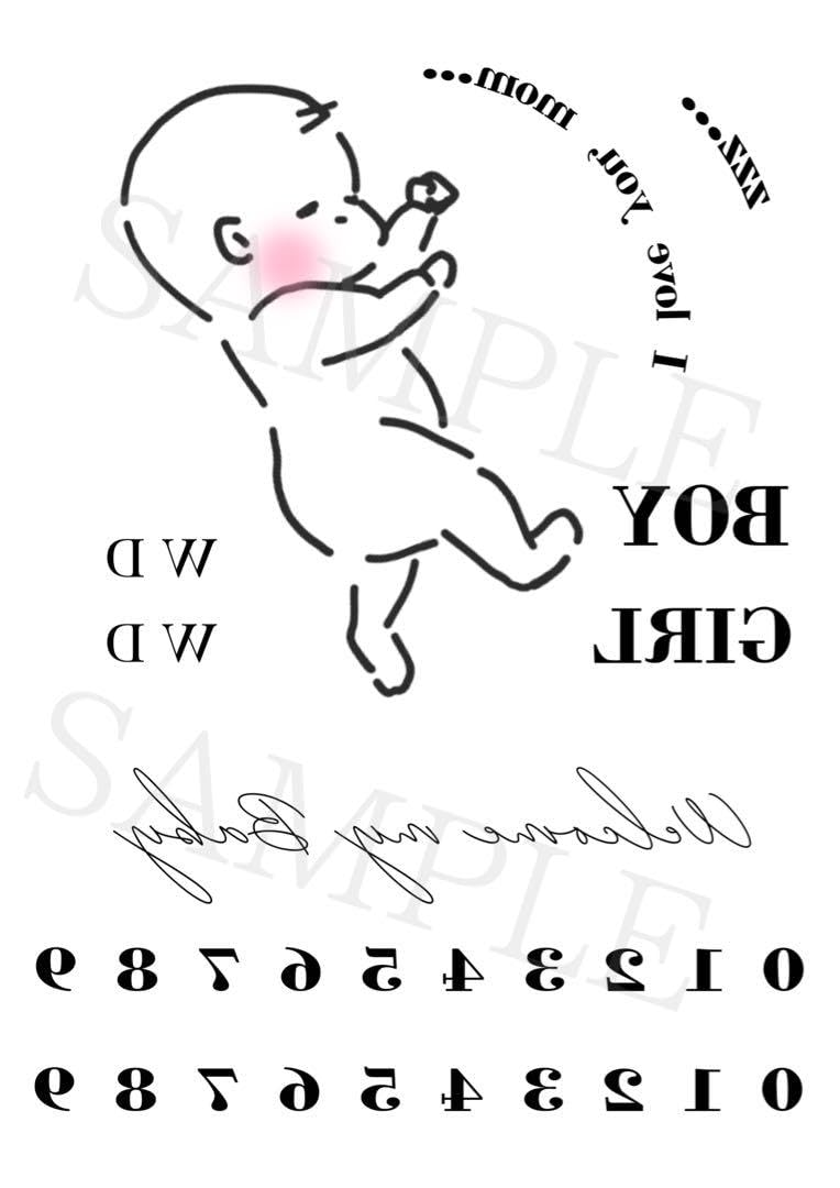 マタニティペイントシール マタニティフォト ベリーペイントシール だるま 安産 その他素材 BabyRiver 最短翌日お届け 通販15124055Creema クリーマ