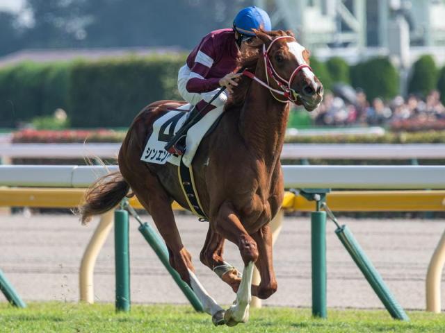 全日本２歳優駿】砂の女王誕生！ミリアッドラヴ来年は海外へ 殊勲の西村淳也「フォーエバーヤングのようになってくれたら」 |