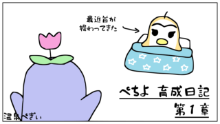 フランスの女の子 のかわいい名前－ココタ fr.com