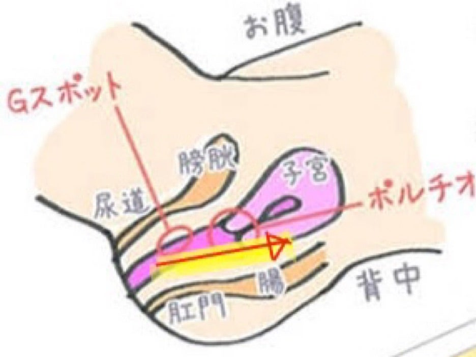 Wポルチオ責めでエビ反り悶絶する色白スレンダーボディ【MoA（OL）】遠恋中の地方女子と刺激たっぷり東京観光デート/開発済みの体外式ポルチオで腹イキ/首○めプレイに恍惚の連続アクメ/中出し精子を押し込むノンストップピストン  | TSUTAYA DISCAS