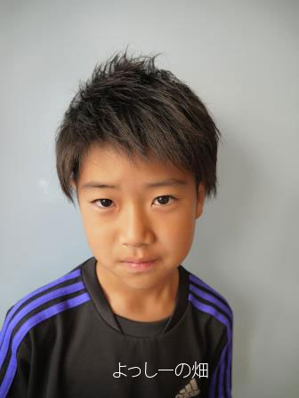 小学生男の子、キッズの髪型・ヘアスタイル人気63選！かっこいい・おしゃれなメンズ髪型ヘアスタイル - サロンセブン