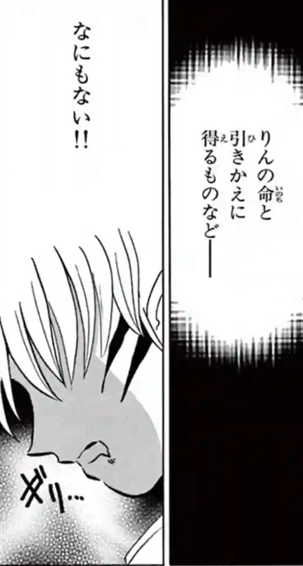 ☆犬夜叉同人誌☆殺生丸×りん☆殺りん☆結婚〜出産〜その後☆